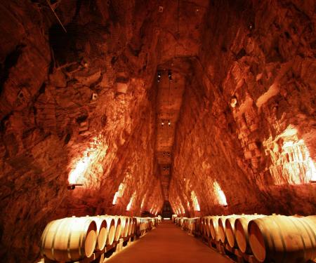 Visite de Terra Vinéa à Portel des Corbières