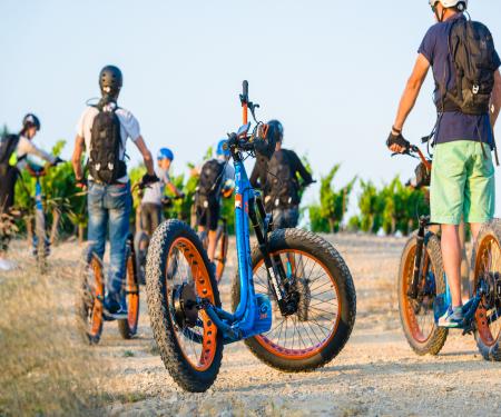 Randonnée panoramique en trottinette tout terrain électrique